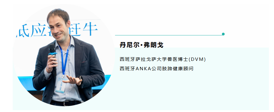 【第二届蹄盾会议】丹尼尔—低应激赶牛